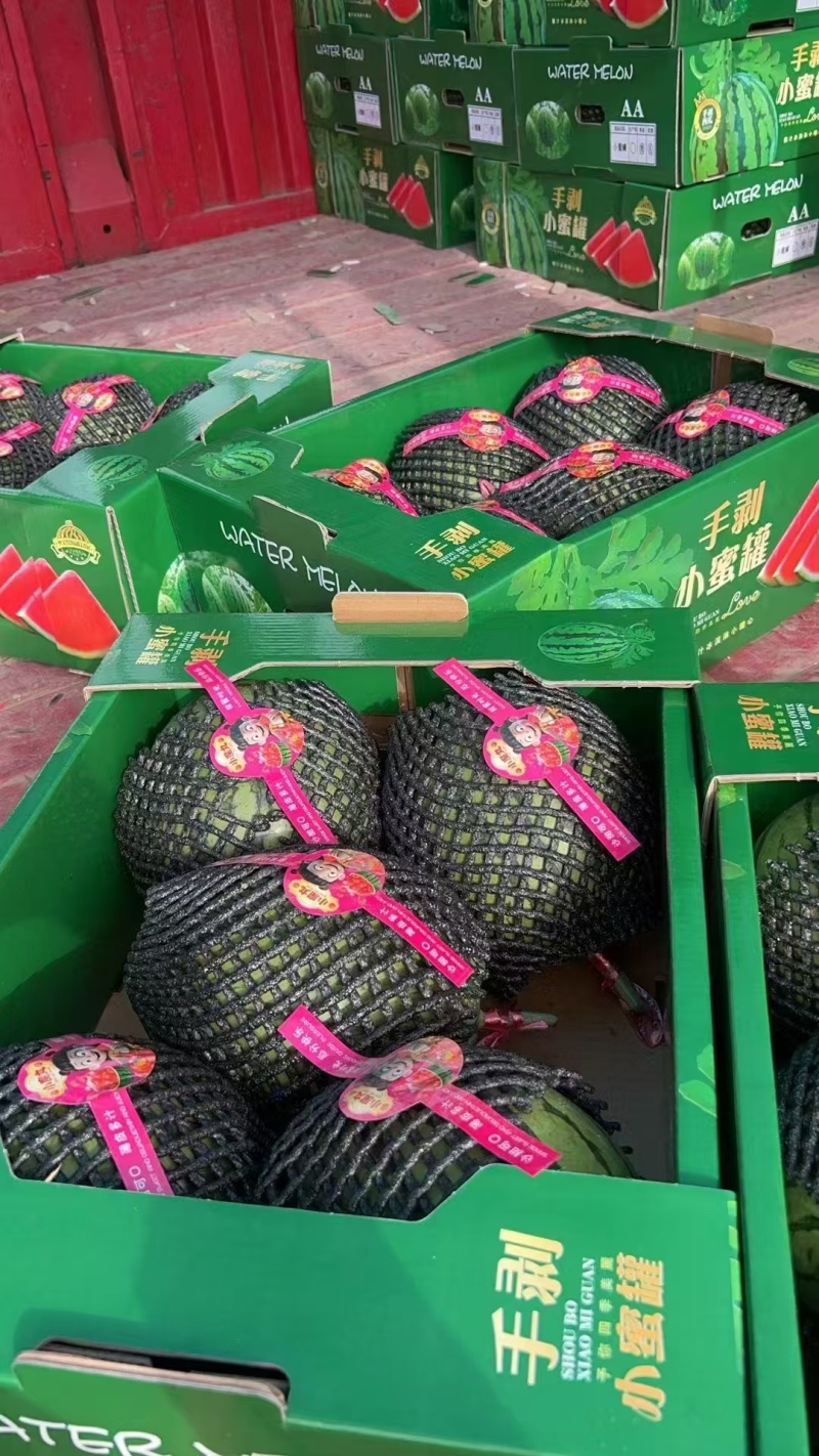 陕西一手货源小吊瓜对接全国市场清甜可口品质好热卖