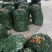 精品蚕豆大量上市，货源充足产地货，量大从优致电联系