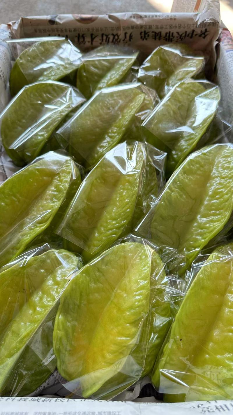 精品杨桃货源充足，全国发货，量大从优致电联系