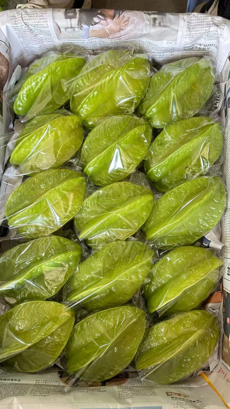 精品杨桃货源充足，全国发货，量大从优致电联系