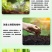 腐植酸水溶肥调酸压碱快速生根提质增产叶面肥
