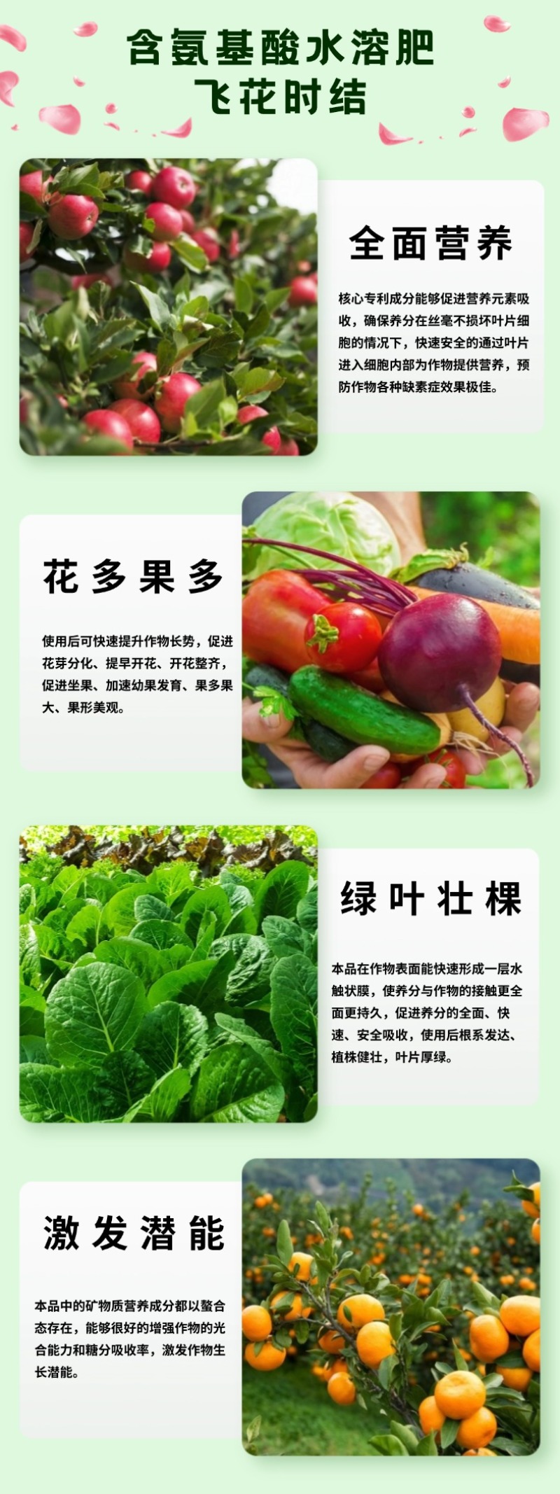 壮方元含氨基酸水溶肥（飞花时结）膨果靓果增糖着色高端水溶