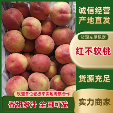红不软毛桃湖北襄阳桃产地直发对接各大市场等