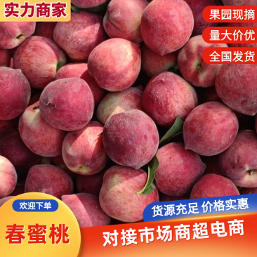 春蜜毛桃实力供货质量三包可实地考察视频看货选货