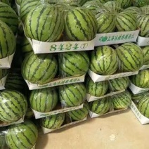精品西瓜8424西瓜美都对接电商市场商超一手货源