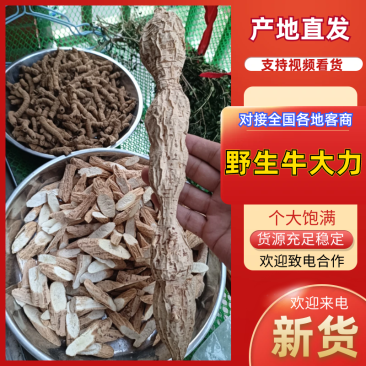 野生牛大力，蛋串串香甜可口