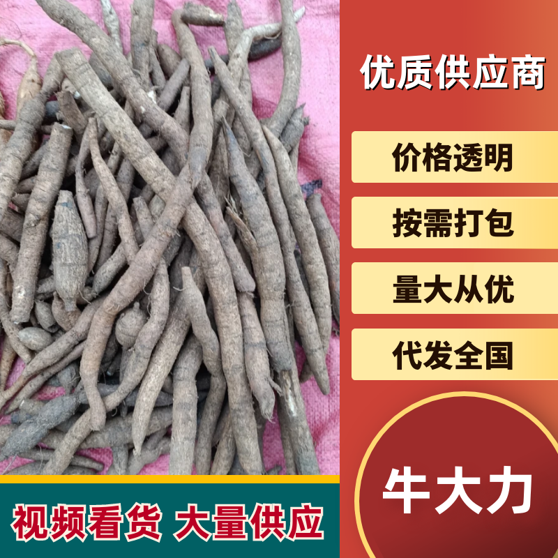 支持1件起批10斤，农民收回来的野生牛大力