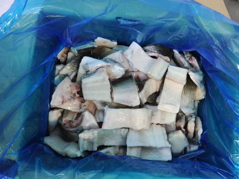 白鲢鱼块品质保证支持视频看货欢迎来电洽谈合作诚信经营