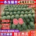 《甜王西瓜》陕西甜王/包熟包甜/规格齐全/量大从优全国发