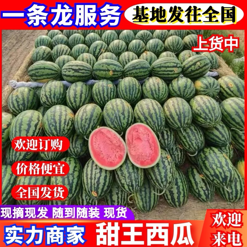 《甜王西瓜》陕西甜王/包熟包甜/规格齐全/量大从优全国发