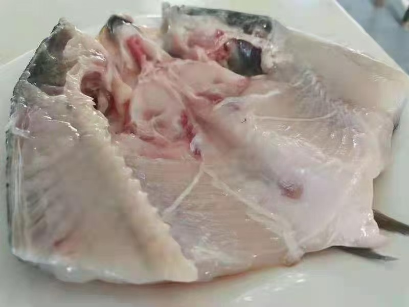 辽宁碧流河水库鲢鱼头，工厂直发品质上乘欢迎来电