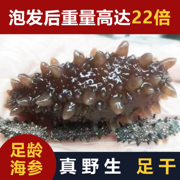 22倍高泡发率***可保存10年