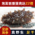 22倍高泡发率***可保存10年