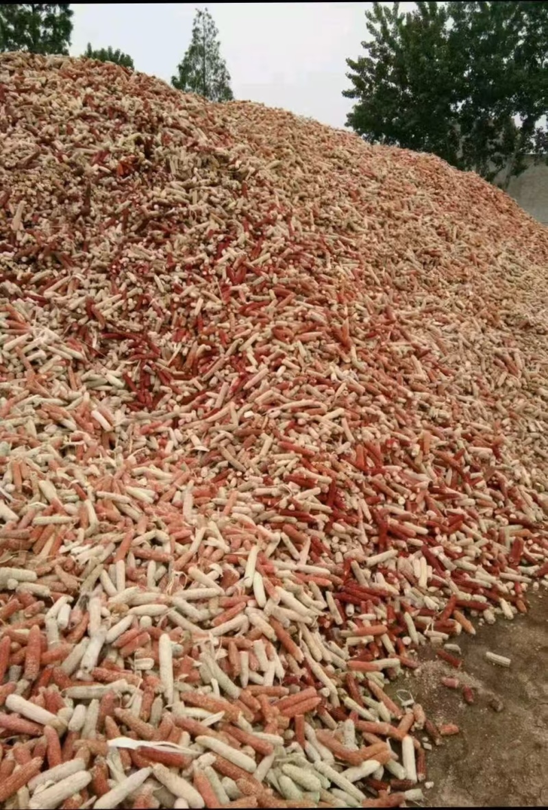 热销玉米芯颗粒食用菌深加工品质好长期供货价格实惠欢迎联系