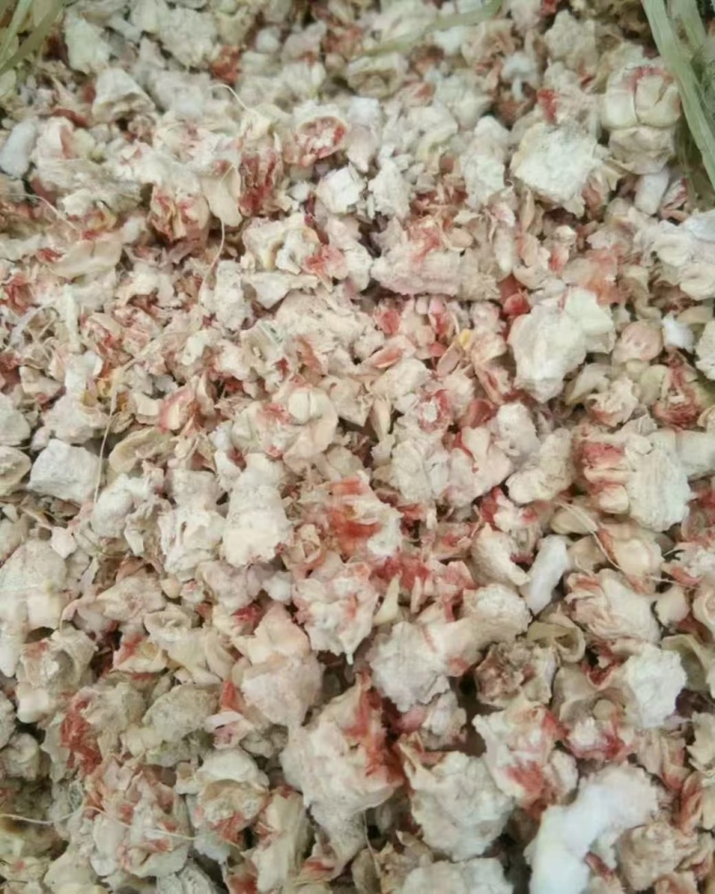 热销玉米芯颗粒食用菌深加工品质好长期供货价格实惠欢迎联系