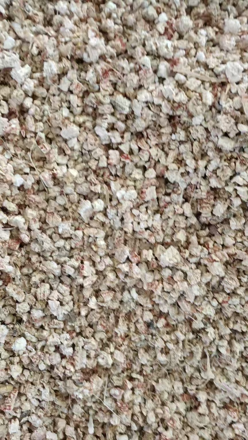 热销玉米芯颗粒食用菌深加工品质好长期供货价格实惠欢迎联系