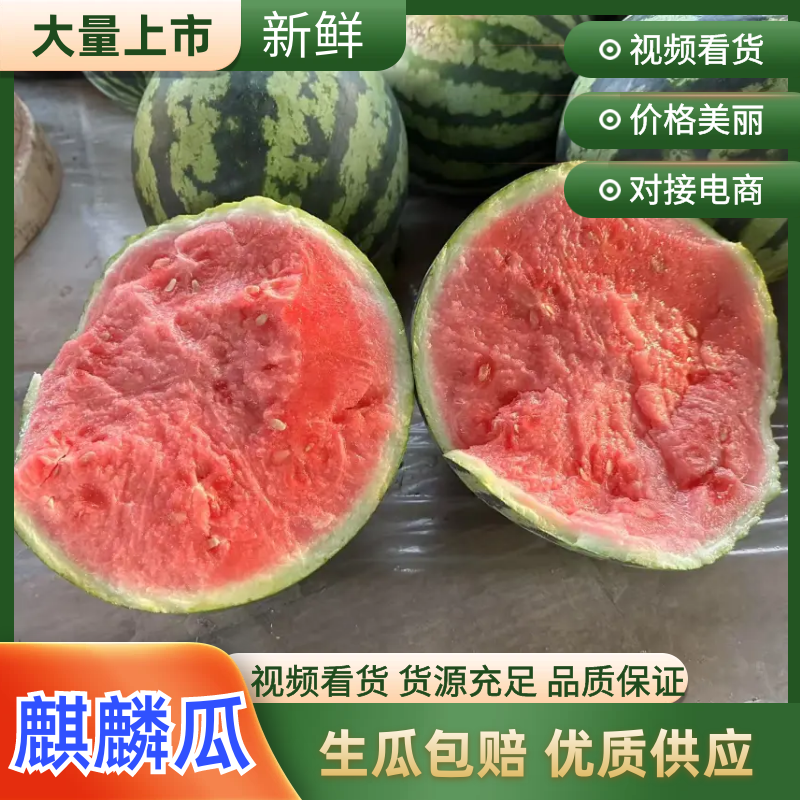云南西双版纳美都无籽西瓜大量供应产地直发欢迎来电咨询