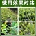 24%虫螨腈虫害全杀**杀虫剂农药量大联系客服