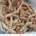 精品天冬货源充足，全国发货，量大从优，可视频看货致电联系