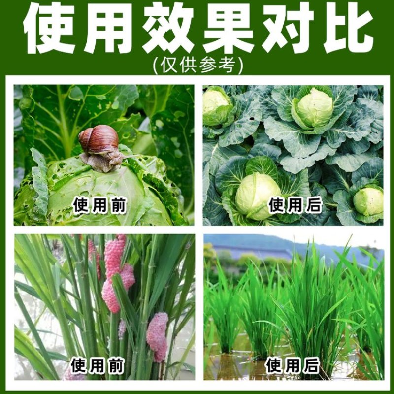 6%四聚乙醛杀蜗牛福寿螺专用药方便高效杀虫剂