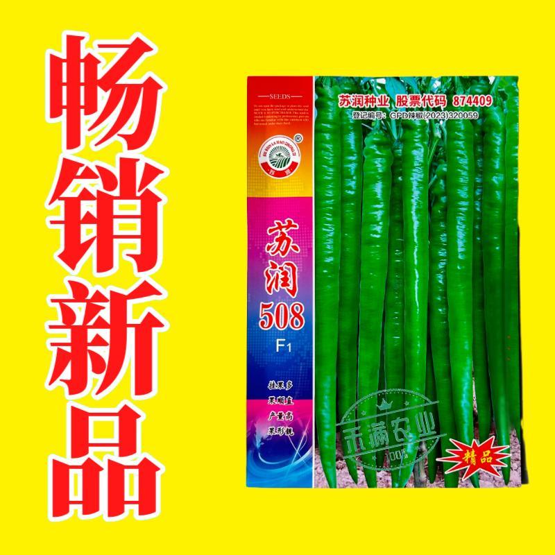 【正品保证】苏润508线椒种子基地**超长线椒种籽