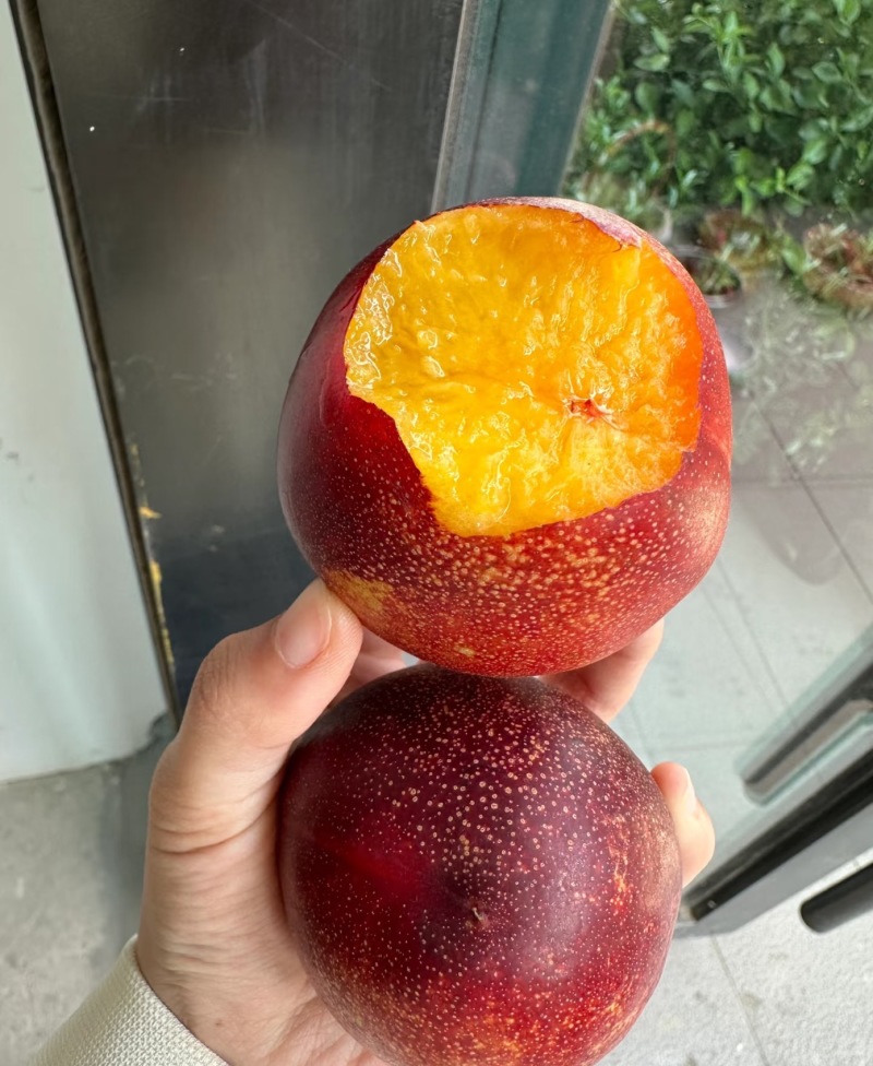 精品油桃，对接外贸口感脆甜供应电商市场商超
