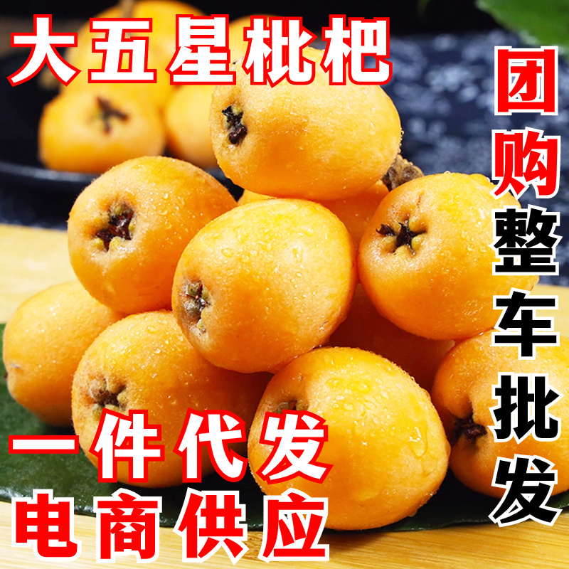 大五星枇杷一件代发四川枇杷新鲜当季水果
