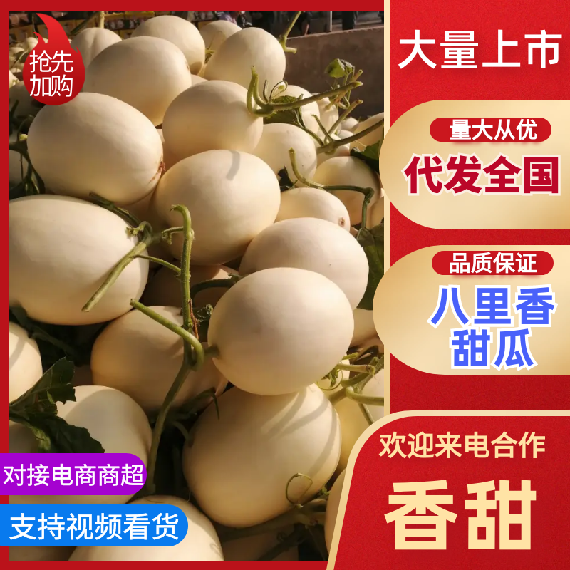 【优选】河南安阳滑县甜瓜八里香甜瓜代收，代发