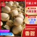 【优质商家】河南安阳甜瓜八里香甜瓜，代办，代发，