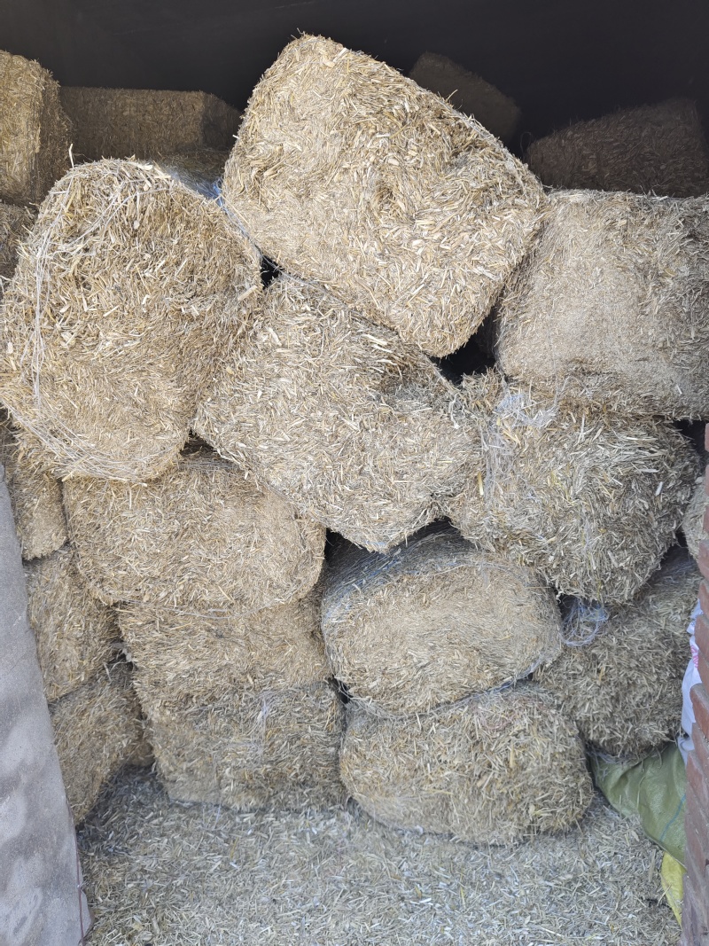 青储干草大量供应对接全国养殖户干净无渣欢迎来电