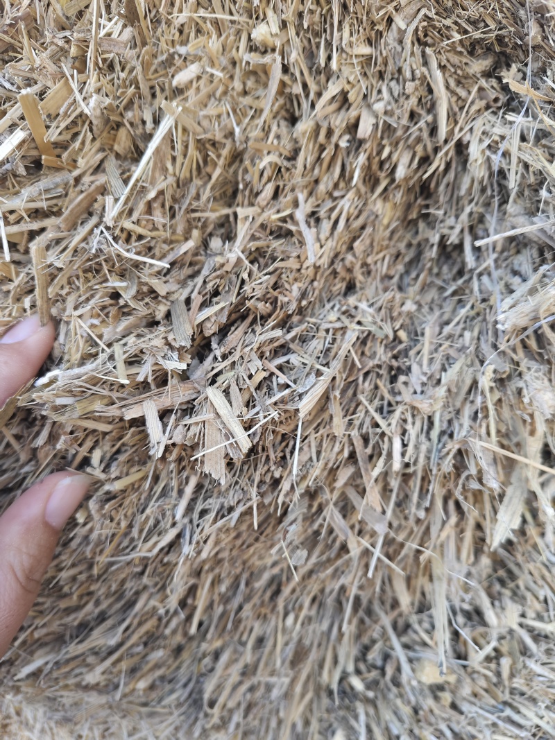 青储干草大量供应对接全国养殖户干净无渣欢迎来电