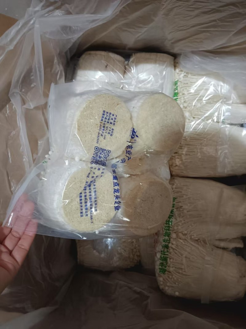 精品金针菇大量供货对接商超市场社区团购饭店等来电谈