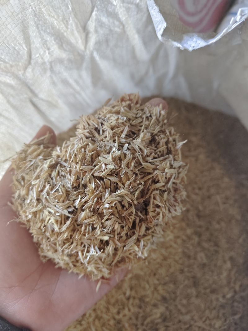 稻谷壳大量供货对接养殖户品质保证欢迎来电洽谈可视频