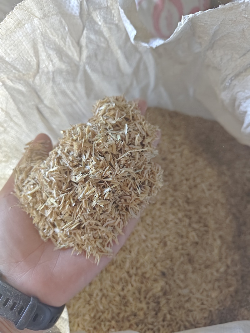 稻谷壳大量供货对接养殖户品质保证欢迎来电洽谈可视频