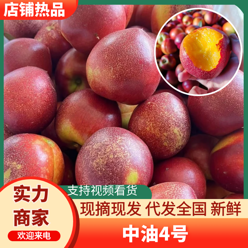 精品油桃，对接外贸口感脆甜供应电商市场商超