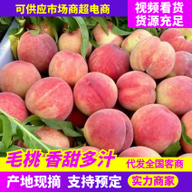 毛桃安徽突围桃基地直发对接电商市场工厂全国供应