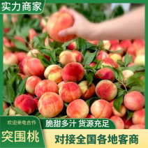 精品毛桃突围桃无烂果对接电商加工厂社区团购市场