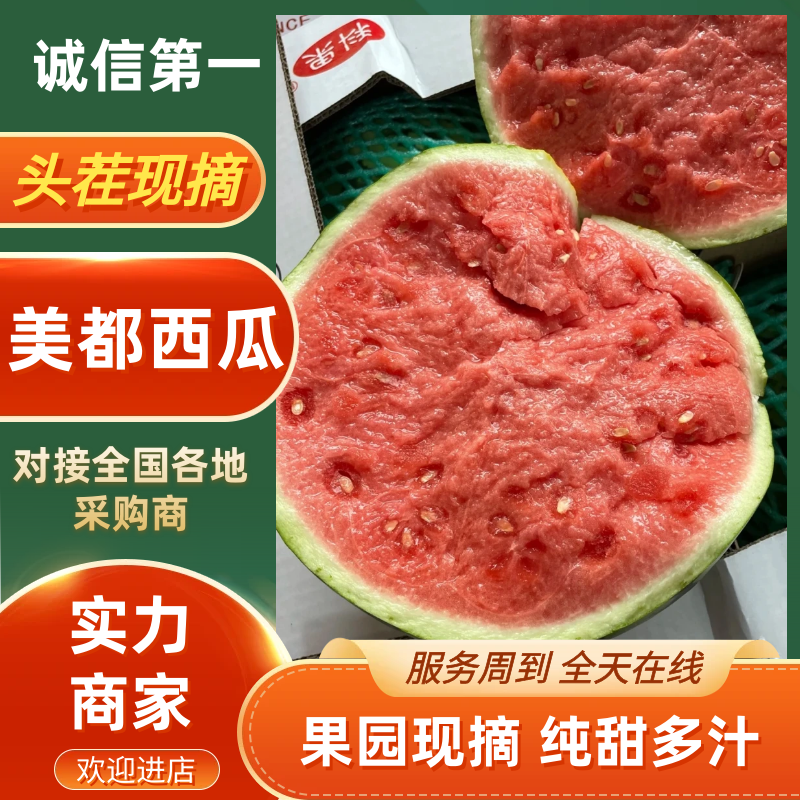 美都西瓜麒麟西瓜现摘现发对接，电商，市场商超品