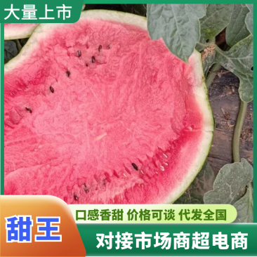 精品甜王西瓜大荔西瓜一手货源全国发货欢迎来电