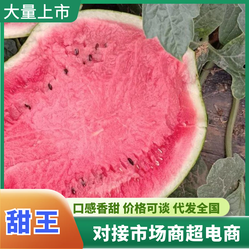 [甜王西瓜批发]陕西渭南大荔县西瓜 0.60元/斤精品甜王西瓜 _ 一亩田