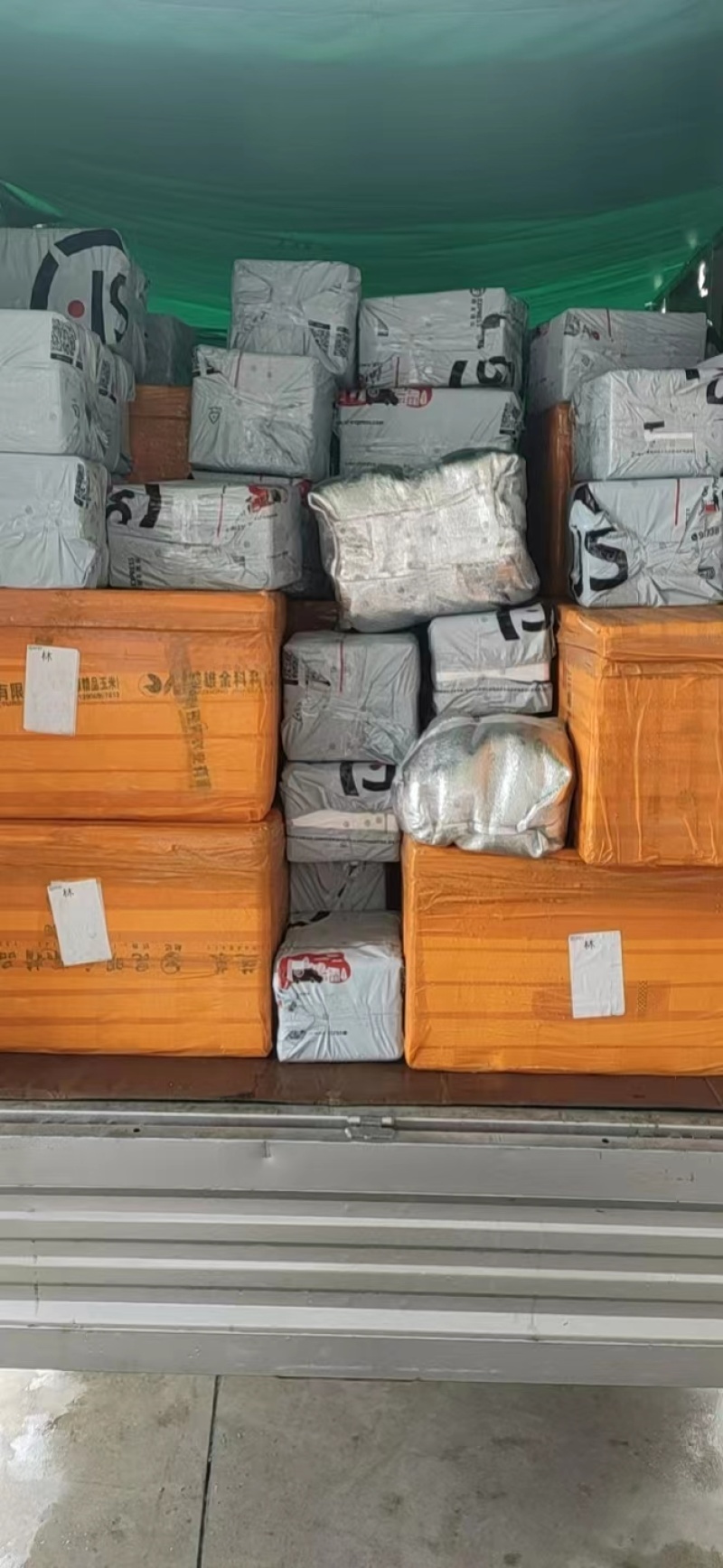 鹧鸪鸟白条真空包装品质保证顺丰包邮量大价优