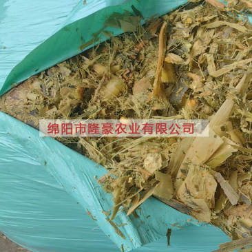 【光杆圆包】青贮饲料/牛羊玉米秸秆饲料/青饲料/发酵饲料