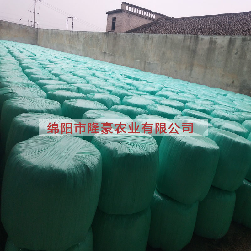 【全株圆包】青贮全株玉米秸秆带苞发酵青饲料/反刍动物草料