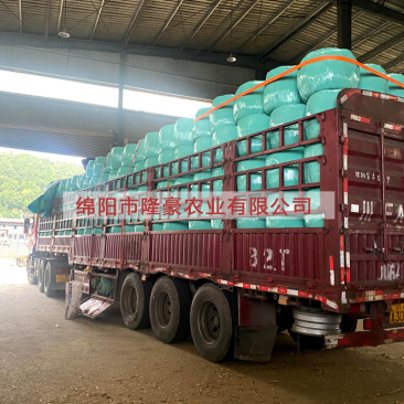 【全株圆包】青贮全株玉米秸秆带苞发酵青饲料/反刍动物草料