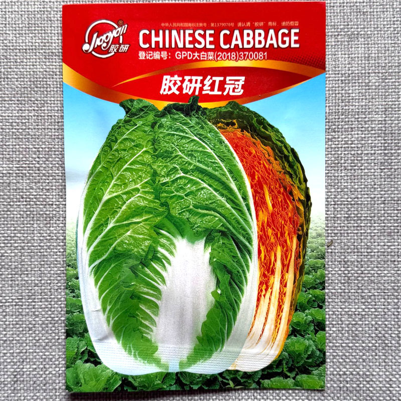 胶研红冠橘红芯大白菜种子外叶绿色帮浅绿内叶橘红色