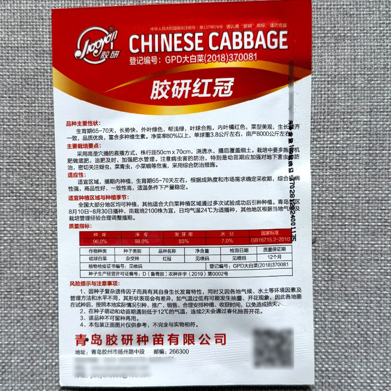 胶研红冠橘红芯大白菜种子外叶绿色帮浅绿内叶橘红色