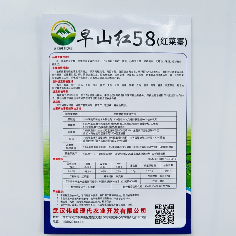 早熟早山红湖北红菜苔种子洪山菜苔种籽秋季菜种籽菜种子紫菜
