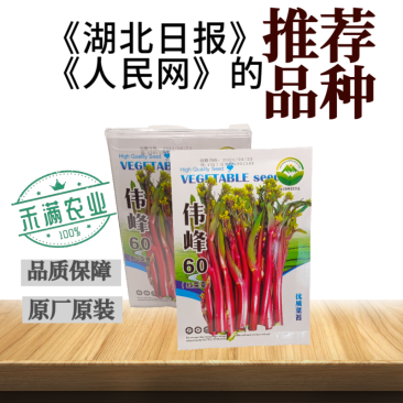 正宗武汉红菜苔种子批2克洪山早熟高产耐寒1秋季菜心四季优
