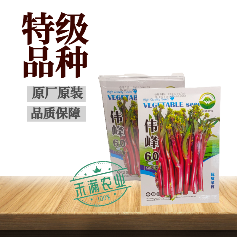 正宗武汉红菜苔种子批2克洪山早熟高产耐寒1秋季菜心四季优