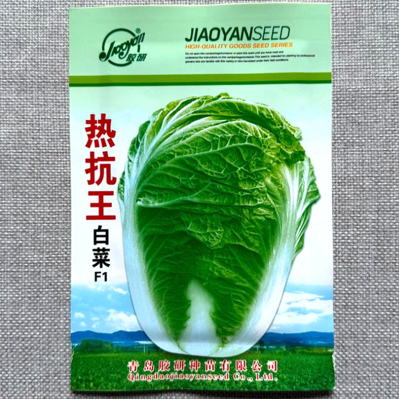 抗热王白菜种子白帮耐热抗三大病害单球重1.8-2公斤